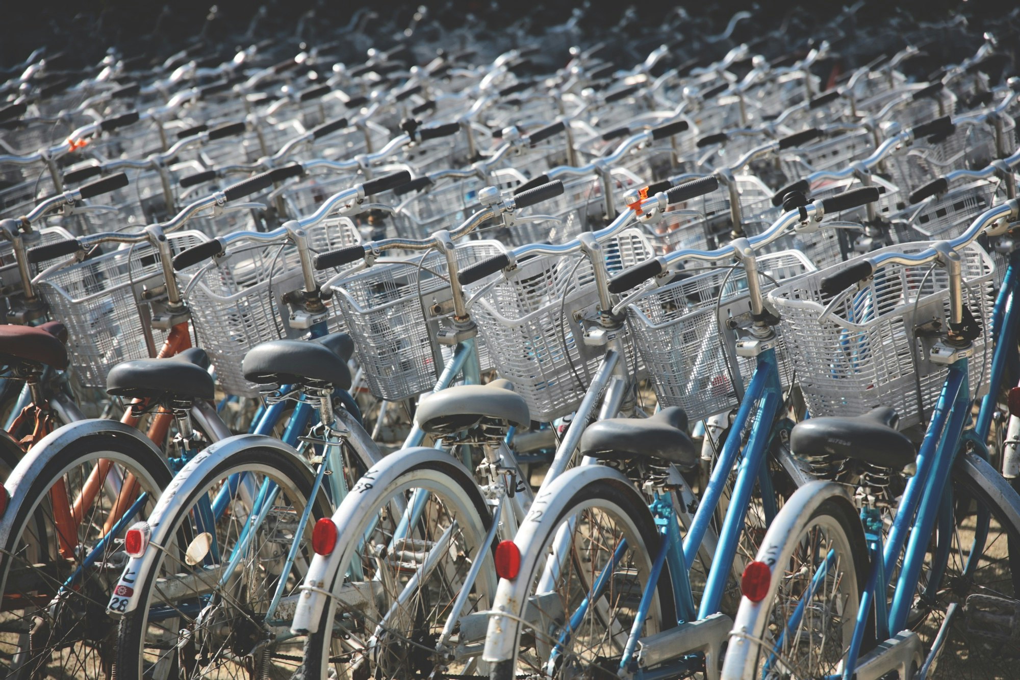 bicycle lot park